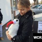 image-683036411ab7fc4875165e71e47632280a659fe8b5dde1b9fb3bf42584ba3cb4-V